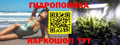 ешки Волжск