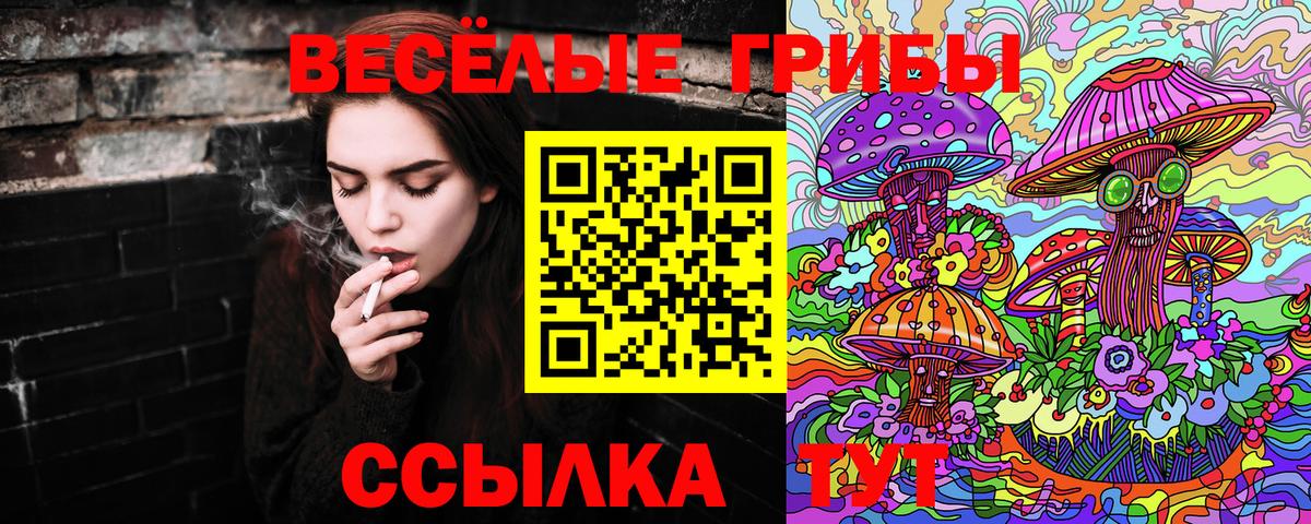 Псилоцибиновые грибы мухоморы  Вход с VPN  Галлюциногенные грибы MAGIC MUSHROOMS  Нарткала 